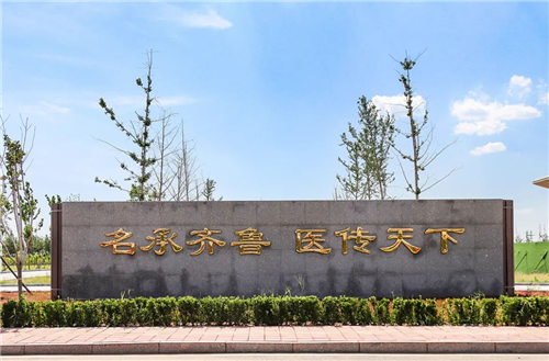 权威发布齐鲁医药学院2020年普通高等教育招生章程